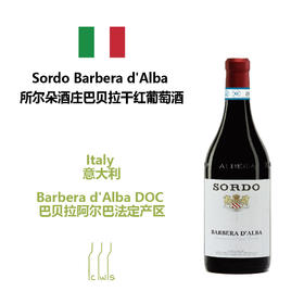 Sordo Barbera d'Alba 所尔朵酒庄巴贝拉干红葡萄酒