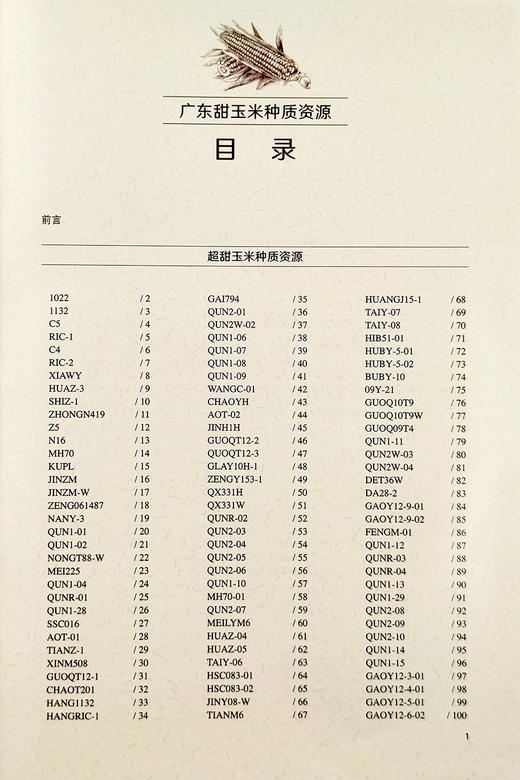 【中国农业出版社】广东甜玉米种质资源 9787109280472 广东 甜玉米 种质资源 甜玉米种子 商品图1