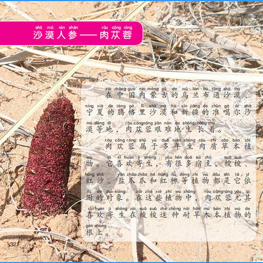 【优惠套装】儿童科普百科全书全套10册 彩图注音版6-8-12岁小学生课外阅读书宇宙奥秘神秘地球人体认识科学探索一二三年级小学生课外读物 商品图1