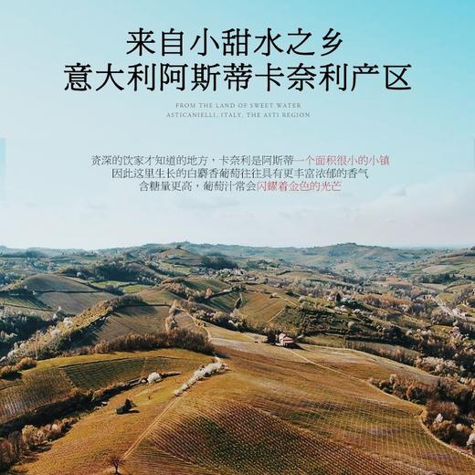 【DOCG珍藏起泡】阿斯蒂珍藏白起泡葡萄酒 意大利原瓶进口 商品图7