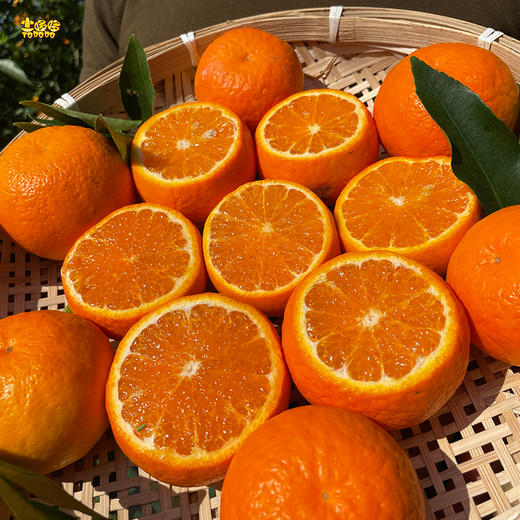 最后150件土哆哆大理宾川沃柑蜜甜多汁果肉化渣