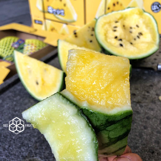 【小羽 黄西瓜】小羽黄西瓜/黑骑士，台湾引种，布丁小兰西瓜，黄瓤黑籽，口感嫩甜多汁，水份超级足！ 商品图2