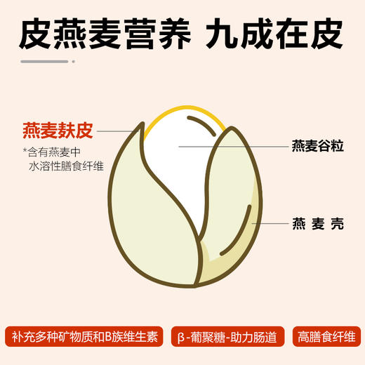 金谷力|有机皮燕麦610g精品套装藏血麦皮燕麦优选组合套餐营养早餐 糯香皮燕麦 香滑拉丝 藏血麦伴侣 商品图2