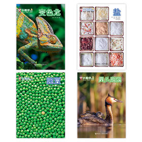 2022年小聪仔科普版1-4期