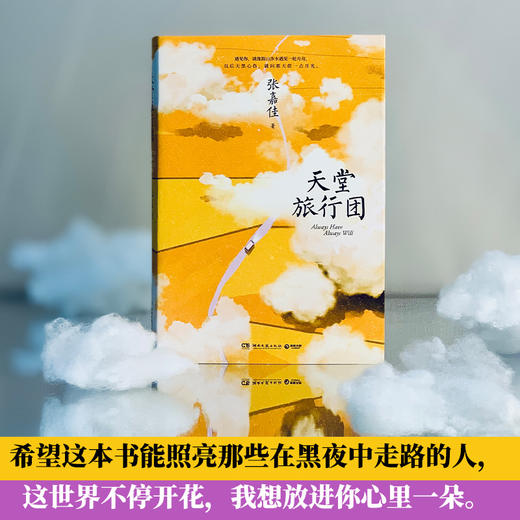 现货张嘉佳新书 天堂旅行团 张嘉佳作品集 云边有个小卖部从你的全世界路过让我留在你身边 青春励志小说 商品图3