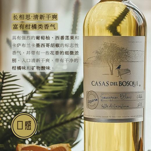 【连续6年入选全球top50葡萄园】露颂（LECURSON）卡萨珍藏长相思葡萄酒 智利卡萨布兰谷 13.5%vol 商品图5