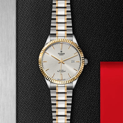 帝舵风尚系列 | 钢表壳，直径41毫米，黄金外圈 商品图0