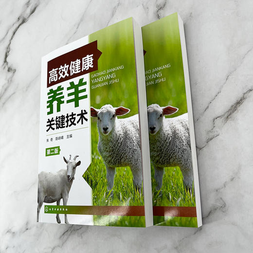 高效健康养羊关键技术（第二版） 商品图4