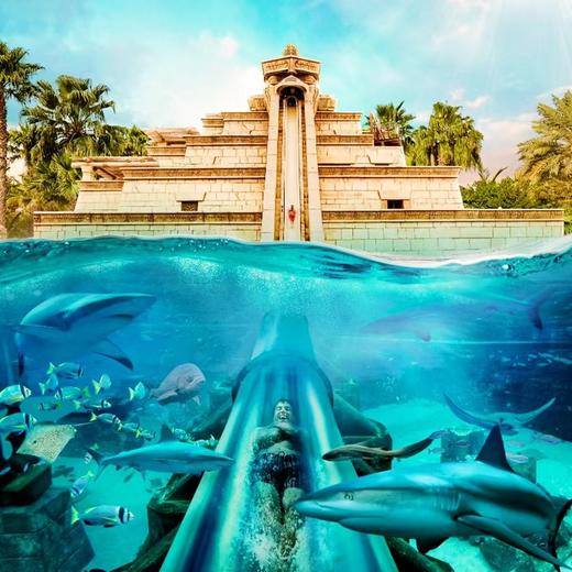 【首发特惠】亚特兰蒂斯一日游（含水世界门票+一龄/中原镇/博鳌往返接送） 商品图5