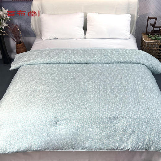 （乡村振兴商品）百布堂甜蜜蜜田园春秋被-绿 商品图0