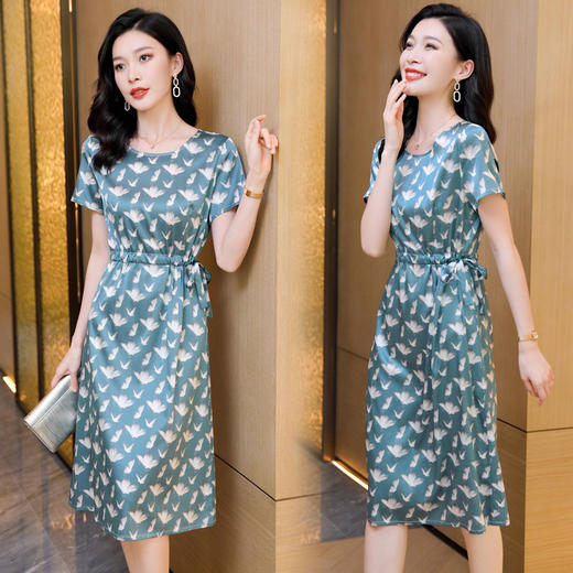 ASE-9323     韩版气质时尚印花女式连衣裙 商品图0