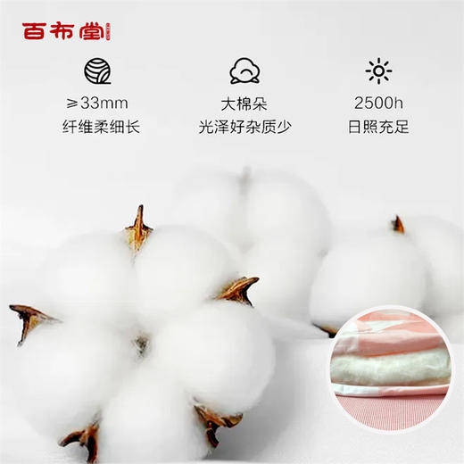 （乡村振兴商品）百布堂天然棉花春秋被 150*200 商品图3