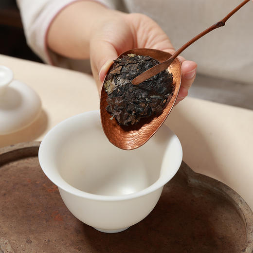 大家系列丨2016年 四代传承 贡眉 100g饼*5 商品图4