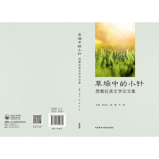 草垛中的小针-西葡拉美文学论文集 商品图1