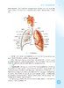 正版 呼吸系统与疾病 第2版9787117318303 全国高等学校器官系统整合教材 供临床医学及相关专业用 李为民 陈霞 编 人民卫生出版社 商品缩略图4