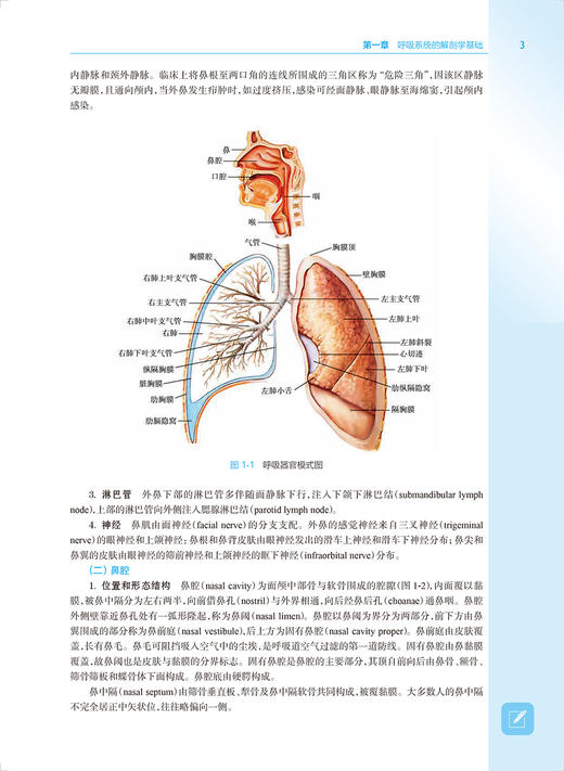 正版 呼吸系统与疾病 第2版9787117318303 全国高等学校器官系统整合教材 供临床医学及相关专业用 李为民 陈霞 编 人民卫生出版社 商品图4