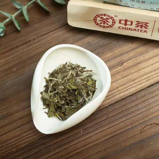 【自营】中茶蝴蝶牌茶叶 福鼎白茶 2022年太姥白芽春雪 357g/饼 商品图4