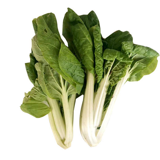 彩虹雨 北京配送 新鲜有机蔬菜 黄心乌菜250g 欧盟认证 京津冀满百包邮 商品图5