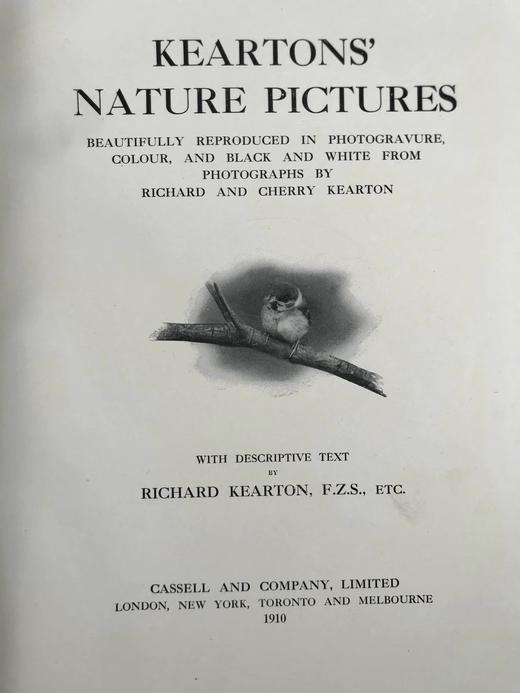 1910年 基尔顿自然图集（全2卷） 数百幅插图 漆布精装大16开 商品图2
