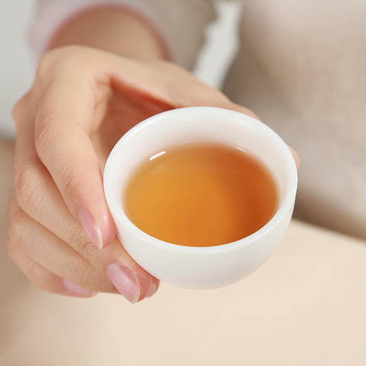 大家系列丨2016年 四代传承 贡眉 100g饼*5 商品图7