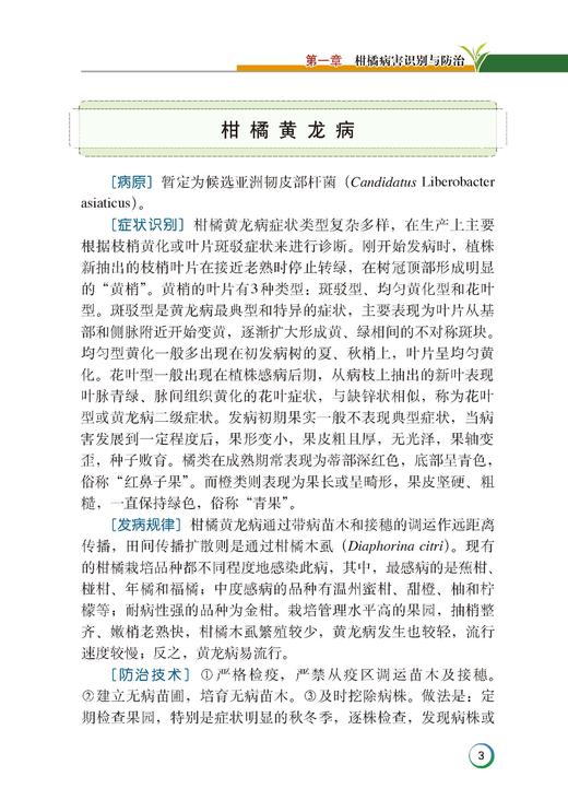 【柑橘经典2本套】柑橘栽培技术管理 柑橘整形修剪+病虫害诊治 商品图6