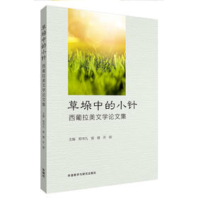 草垛中的小针-西葡拉美文学论文集