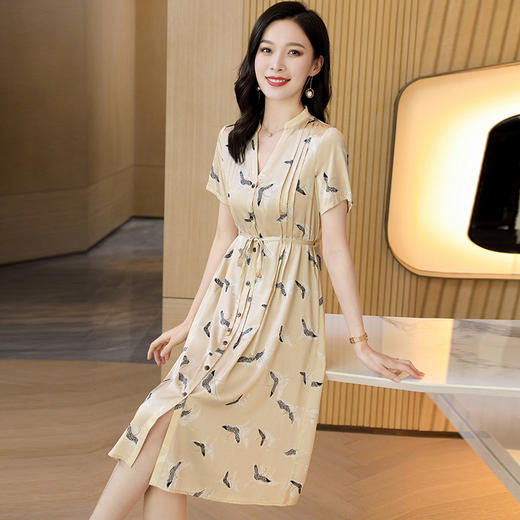 ASE-2381   印花V领时尚女式连衣裙 商品图0