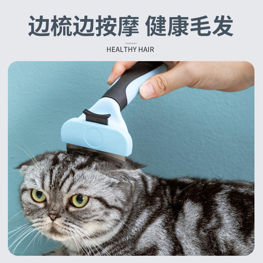 【精密梳齿不飞毛 一梳即净】宠物梳子狗猫通用宠物梳毛器手柄式梳刀头脱毛梳精密梳齿 商品图1