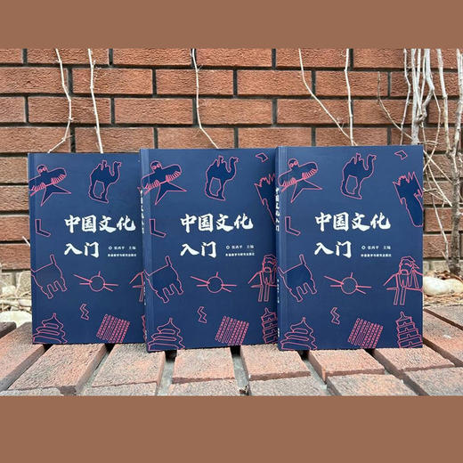 中国文化入门 商品图3