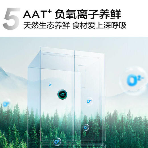 TCL406升十字对开门智能语音 360°生态养鲜冰箱R406P12-UI 商品图5