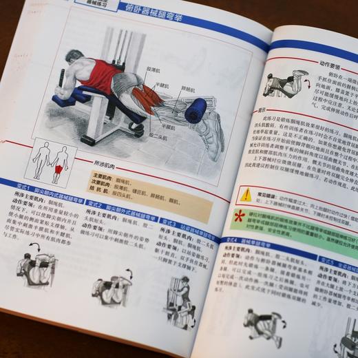 【心如健推荐】 力量训练解剖全书 畅销全球12年 欧洲训练科学权威著作 商品图2