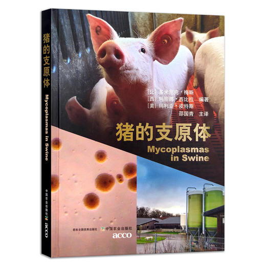 【官方正版】猪的支原体 9787109287426 【比】多米尼克•梅斯【西班牙】玛丽娜•西比拉【美】玛利亚•皮特斯 猪病 兽医 商品图0
