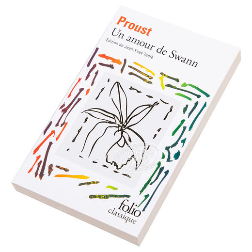 普鲁斯特 斯万的爱情 Un amour de Swann 法文原版 马塞尔普鲁斯特 MarcelProust FOLIO 商品图2