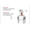【心如健推荐】酸痛拉筋解剖书： 你的私人拉筋保健指南、拉筋与肌*解剖学相结合的专业图解书 商品缩略图3