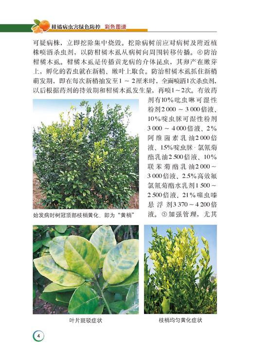 【柑橘经典2本套】柑橘栽培技术管理 柑橘整形修剪+病虫害诊治 商品图7