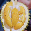 泰国进口托曼尼榴莲  全A果 俗称小猫山王（核稍大介意慎拍！） 浓郁香甜   新鲜榴莲带壳应季水果 商品缩略图0