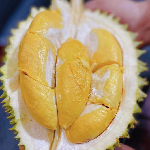 泰国进口托曼尼榴莲  全A果 俗称小猫山王（核稍大介意慎拍！） 浓郁香甜   新鲜榴莲带壳应季水果 商品图0