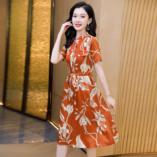 ASE-9328   V领气质时尚百塔女式连衣裙 商品图3