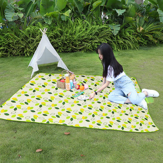 yodo/悠度野餐垫+吊床组合 商品图6