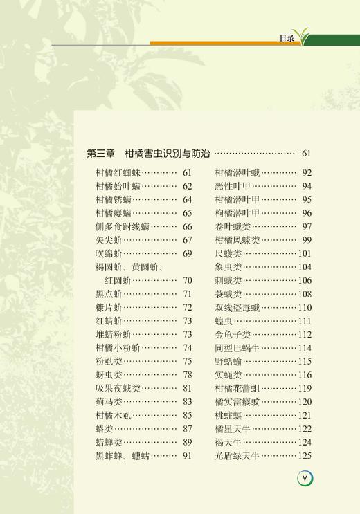 【柑橘经典2本套】柑橘栽培技术管理 柑橘整形修剪+病虫害诊治 商品图2