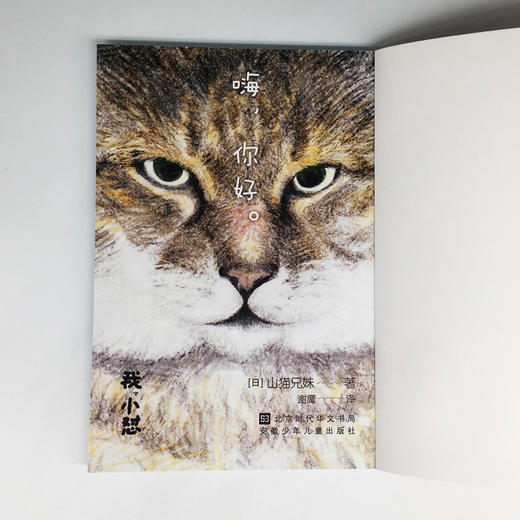 (仓发) 我，小怼/北京时代华文书局/[日]，山猫兄妹/9787569932997 商品图3