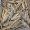 【14.7元3斤】带头黄花鱼（1501125） 商品缩略图0