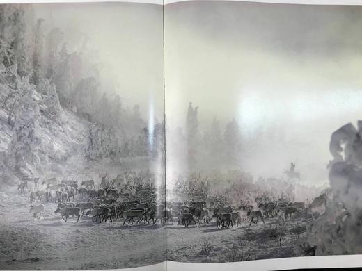 国家地理摄影艺术图集 约300幅插图 精装大16开 商品图5