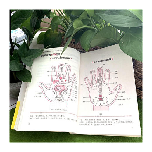 【心如健推荐】手指瑜伽：揉揉手指的神奇自愈力（升级版） 商品图2