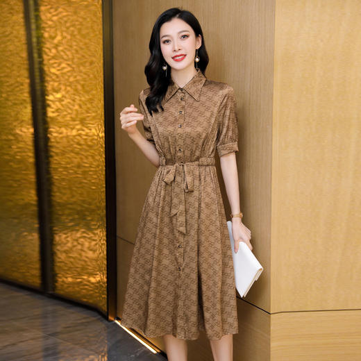 ASE-2389  立领修身百搭时尚韩版真丝连衣裙 商品图2