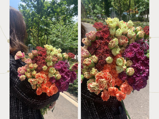 买一束送一束，菜头商城 聊寄一枝春，云南懒人插花之〔复古康乃馨〕A级 一束20枝装（16枝+4枝防损） 商品图1