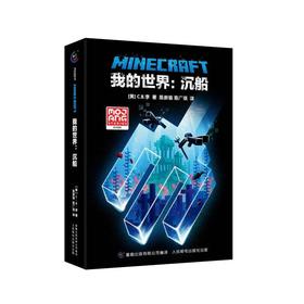 我的世界:沉船
