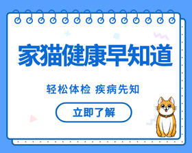 该给猫咪做体检啦~