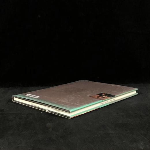 荷兰绘画图集 近百幅插图 精装大16开 商品图2