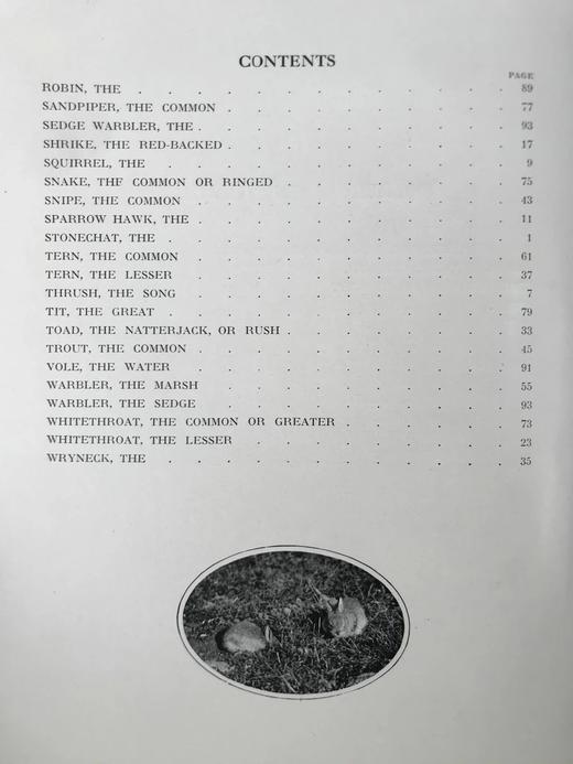 1910年 基尔顿自然图集（全2卷） 数百幅插图 漆布精装大16开 商品图4